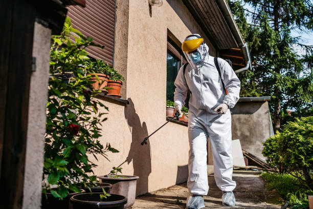 Best Affordable Pest Control Services  in Newark, CA