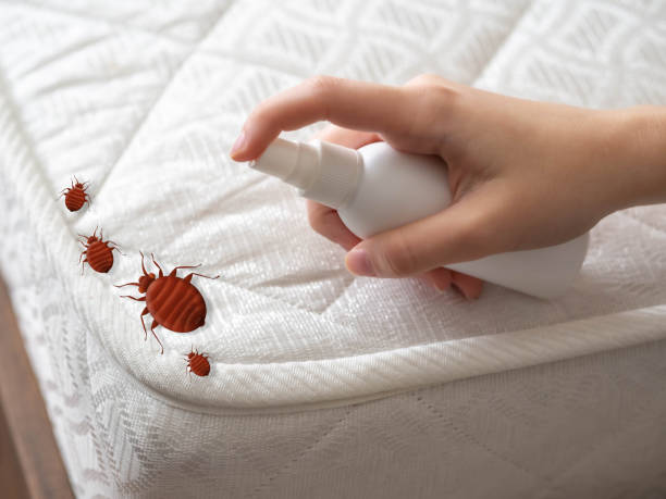 Best Pest Control Treatment  in Newark, CA