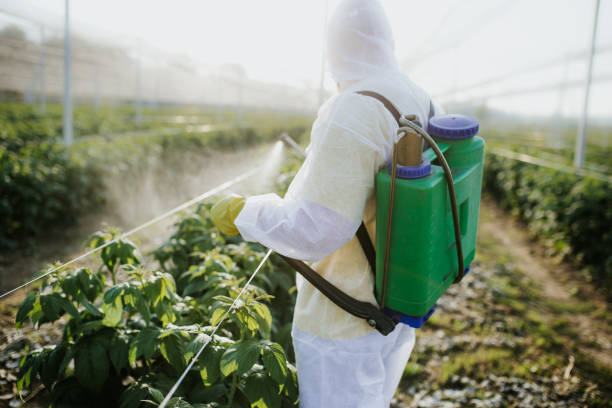 Best Pest Inspection Near Me  in Newark, CA
